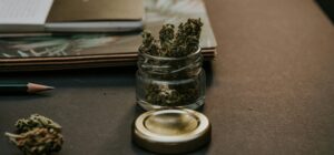 Read more about the article Czy jestem uzależniony od marihuany? Darmowy test online!